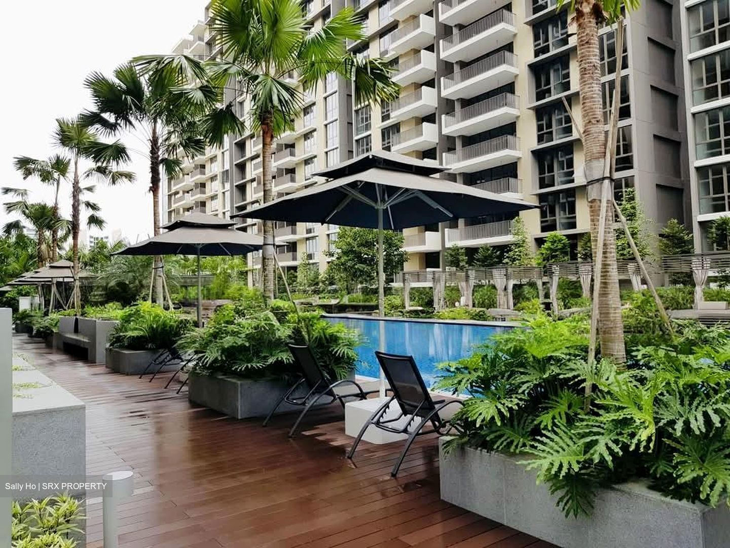 Treasure Crest (D19), Condominium #572146851